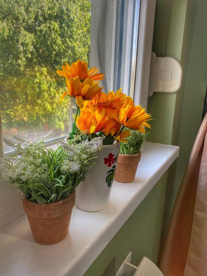 Apartman Diana Сремска-Митровица Экстерьер фото